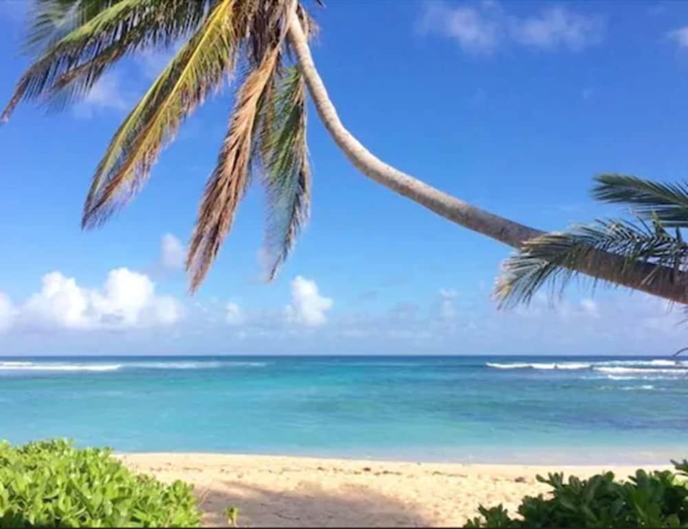 The Palms At Pelican Cove (Adults Only) La Grande Princesse Ngoại thất bức ảnh